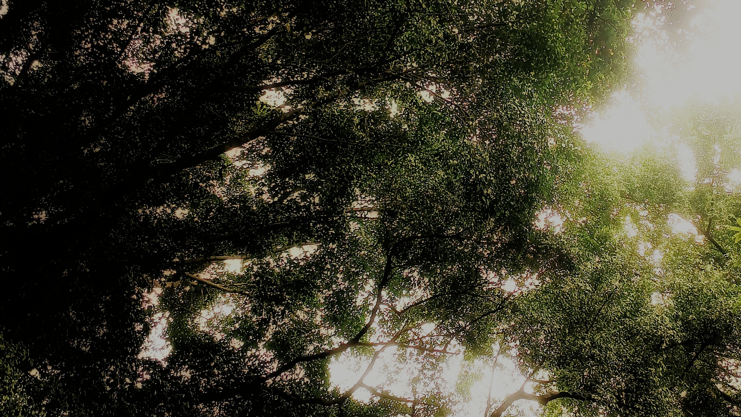 Why We Stopped Managing Projects